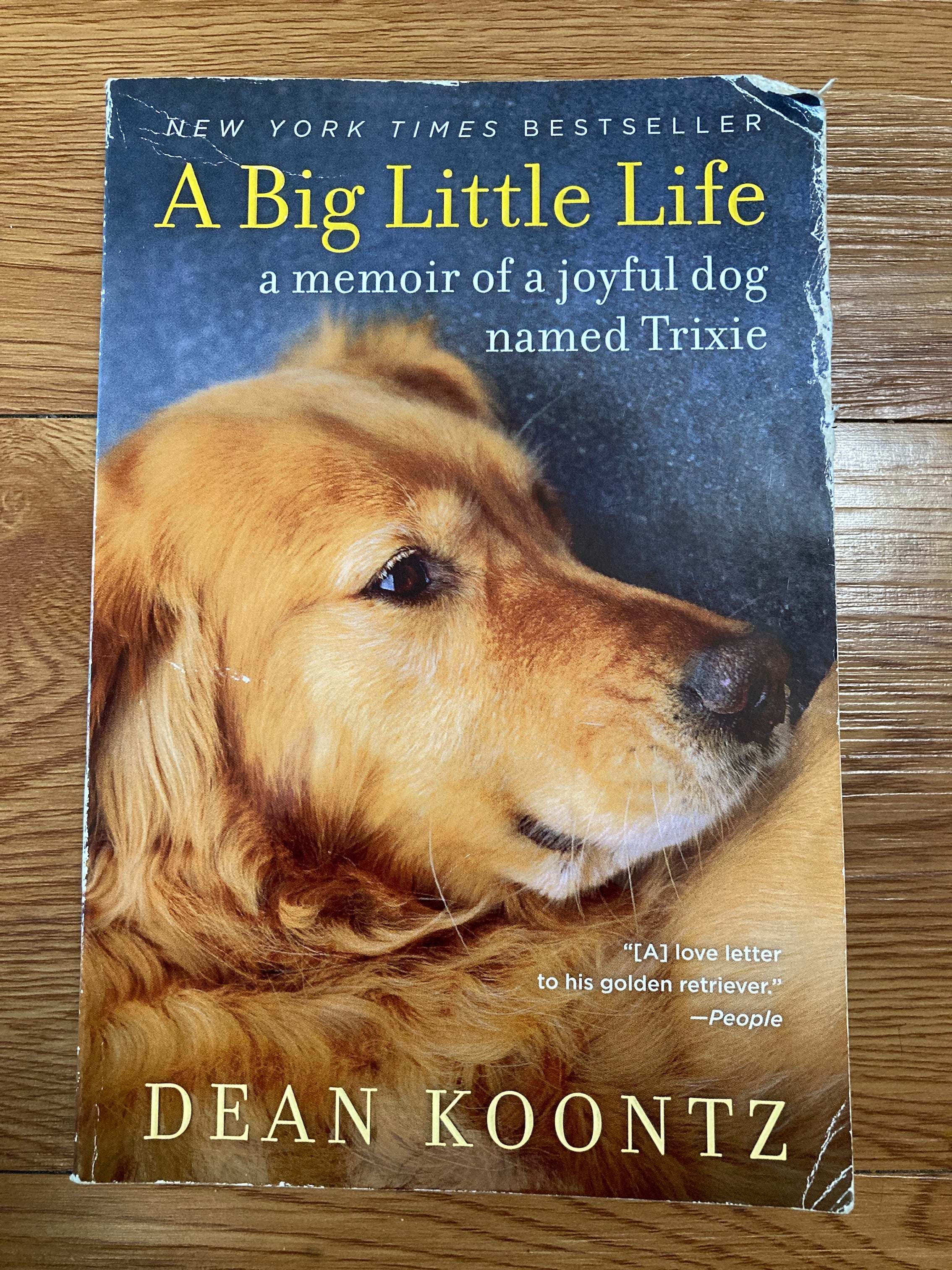 A big little life a clearance memoir of a joyful dog