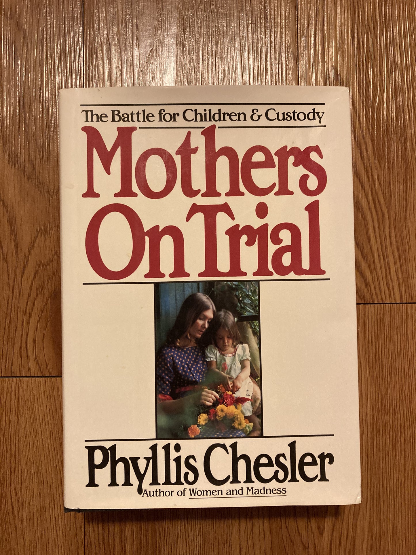 Mothers on Trial: The Battle for Children and Custody
