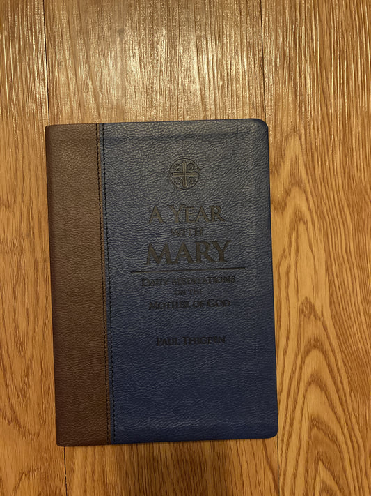 A Year with Mary: Daily Meditations on the Mother of God (IL)