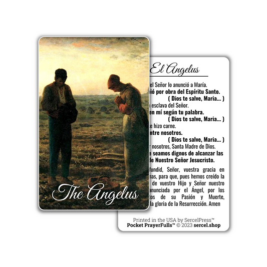 The Angelus in Spanish / El Angelus: Pocket PrayerFulls™ | Durable Wallet Prayer Cards | Catholic