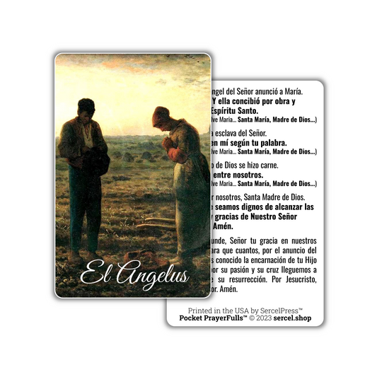 NEW: Angelus in Spanish / El Angelus: Pocket PrayerFulls™ | Durable Wallet Prayer Cards | Catholic Prayers