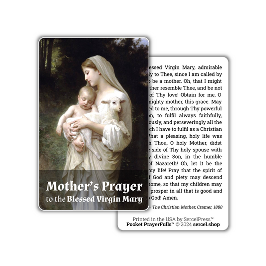 Mother’s Prayer to the Blessed Virgin Mary: Pocket PrayerFulls™ | Durable Wallet Prayer Cards | Catholic Prayers
