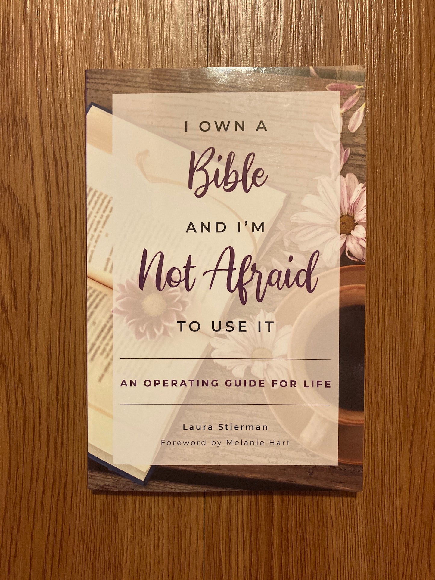 I Own a Bible and I'm Not Afraid to Use It: An Operating Guide