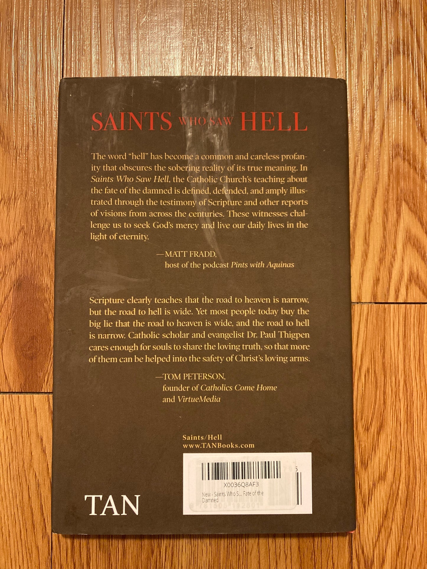 Saints Who Saw Hell: And Other Catholic Witnesses to the Fate