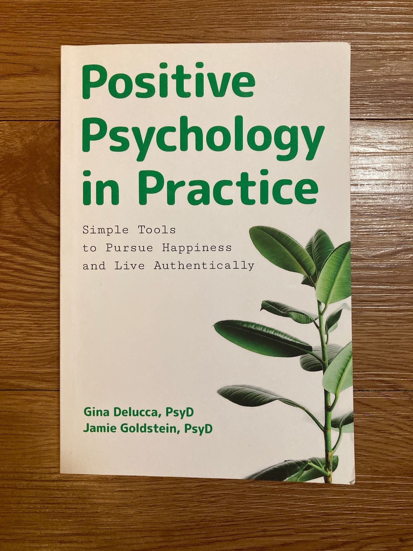 Positive Psychology in Practice: Simple Tools to Pursue Happiness