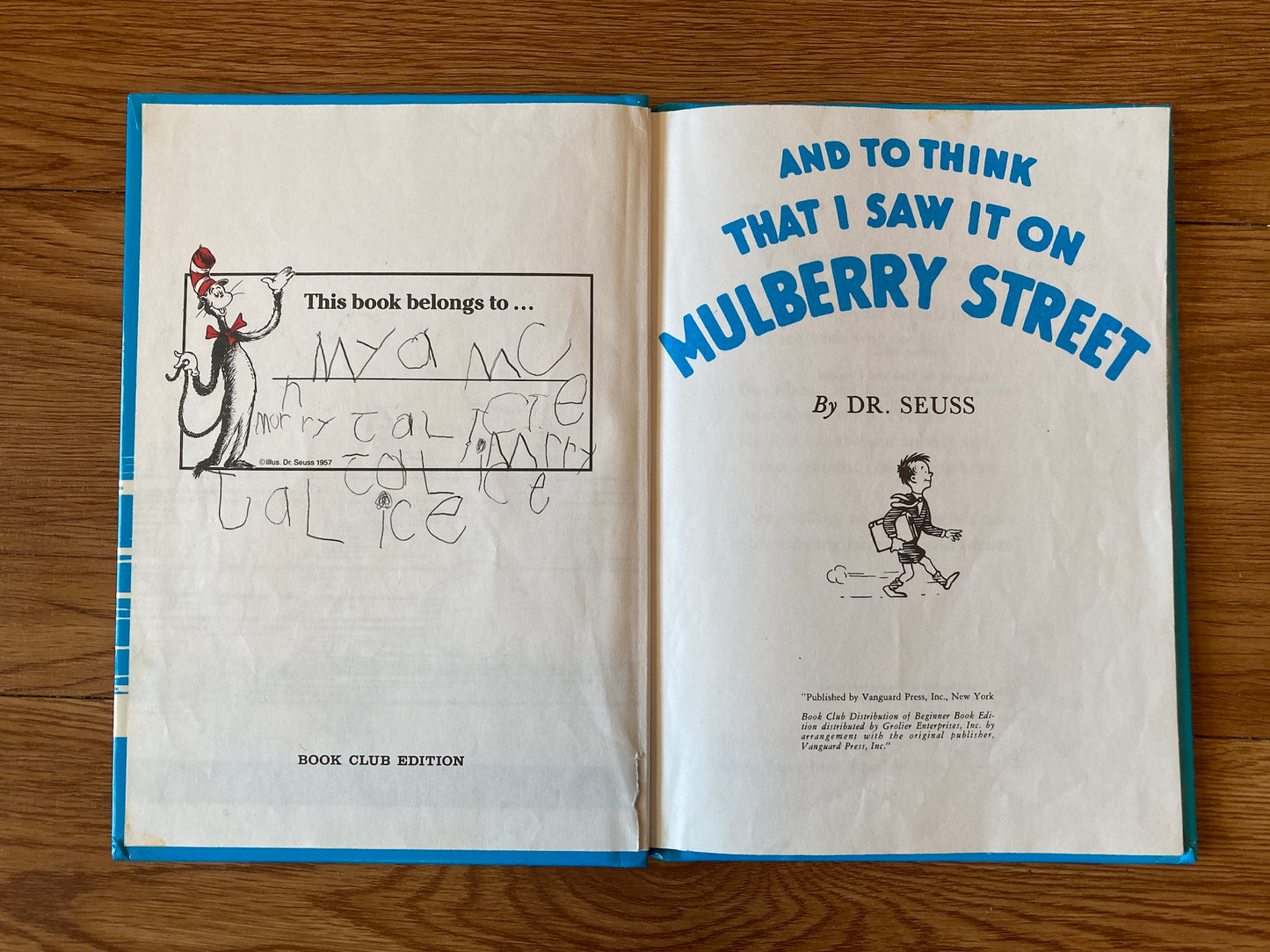 And to Think That I Saw it on Mulberry Street, Dr. Seuss