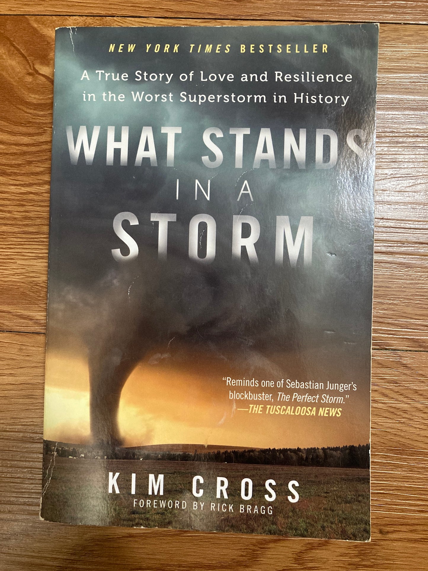 What Stands in a Storm: A True Story of Love and Resilience