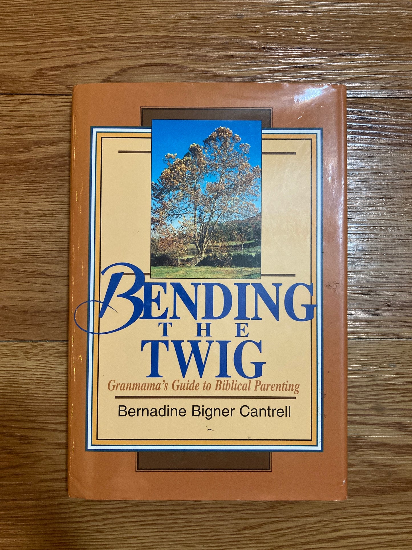 Bending the Twig, Bernadine B. Cantrell