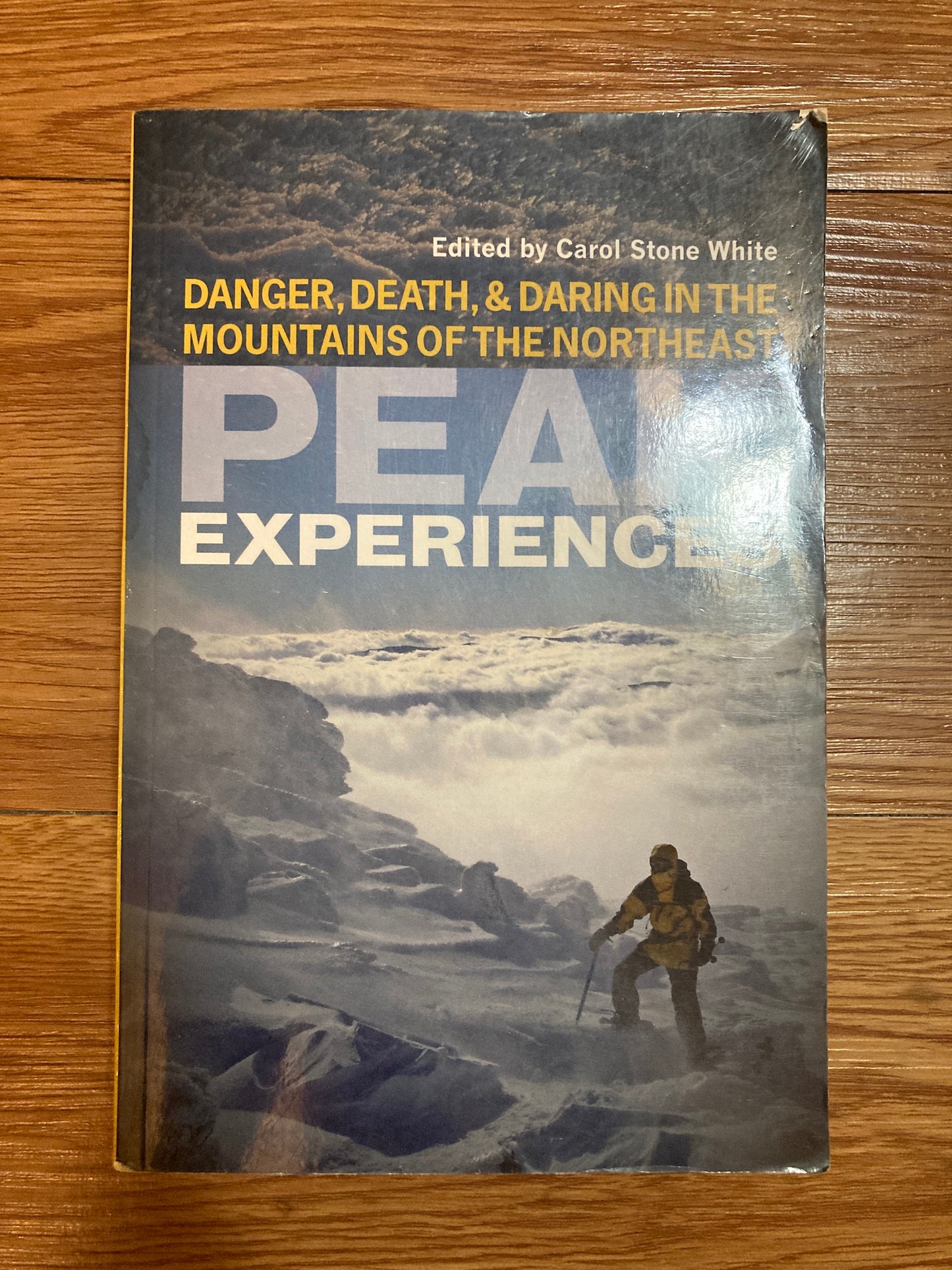 Peak Experiences: Danger, Death, and Daring in the Mountains