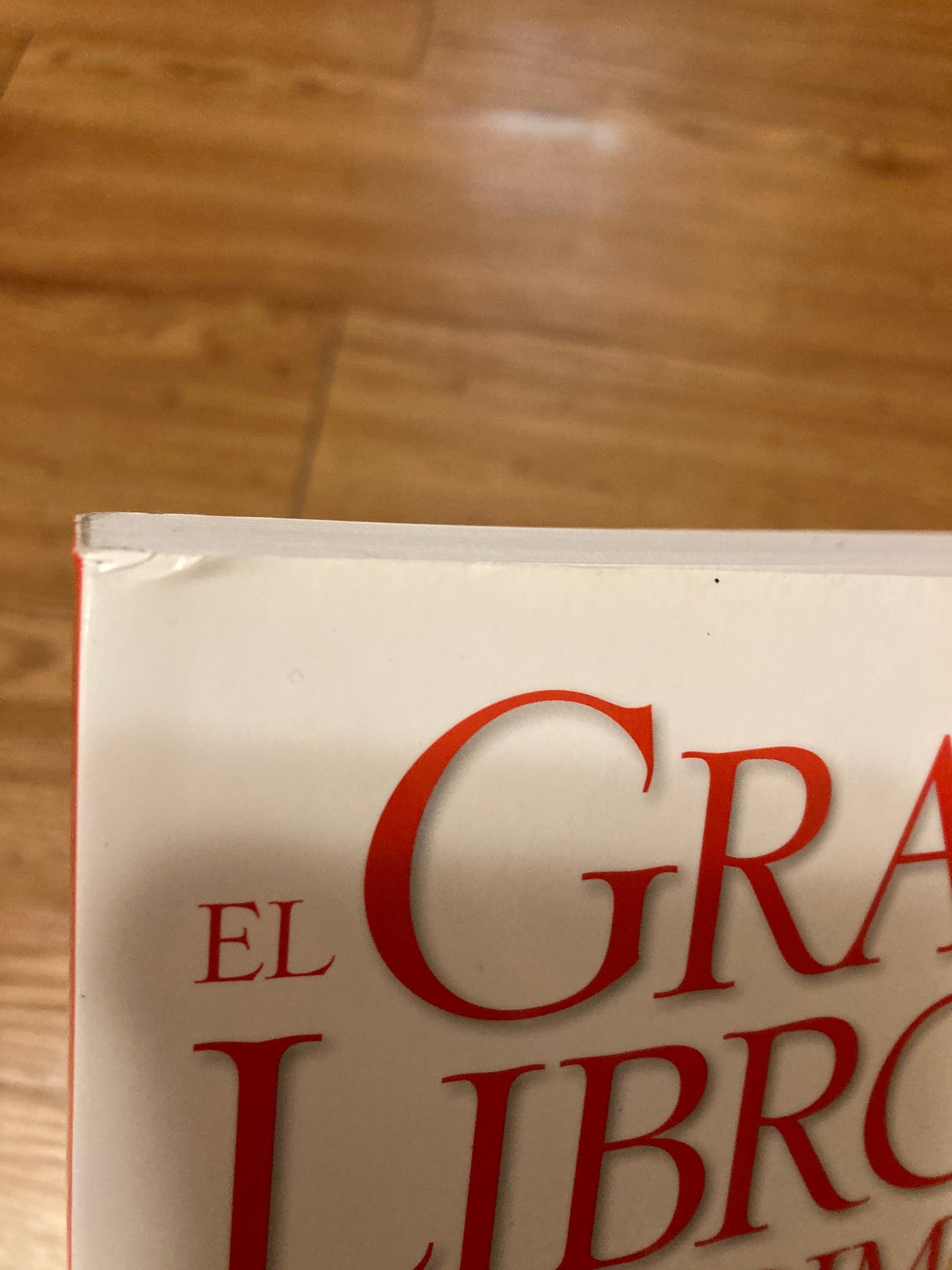 El gran libro sobre el matrimonio (Spanish Edition)