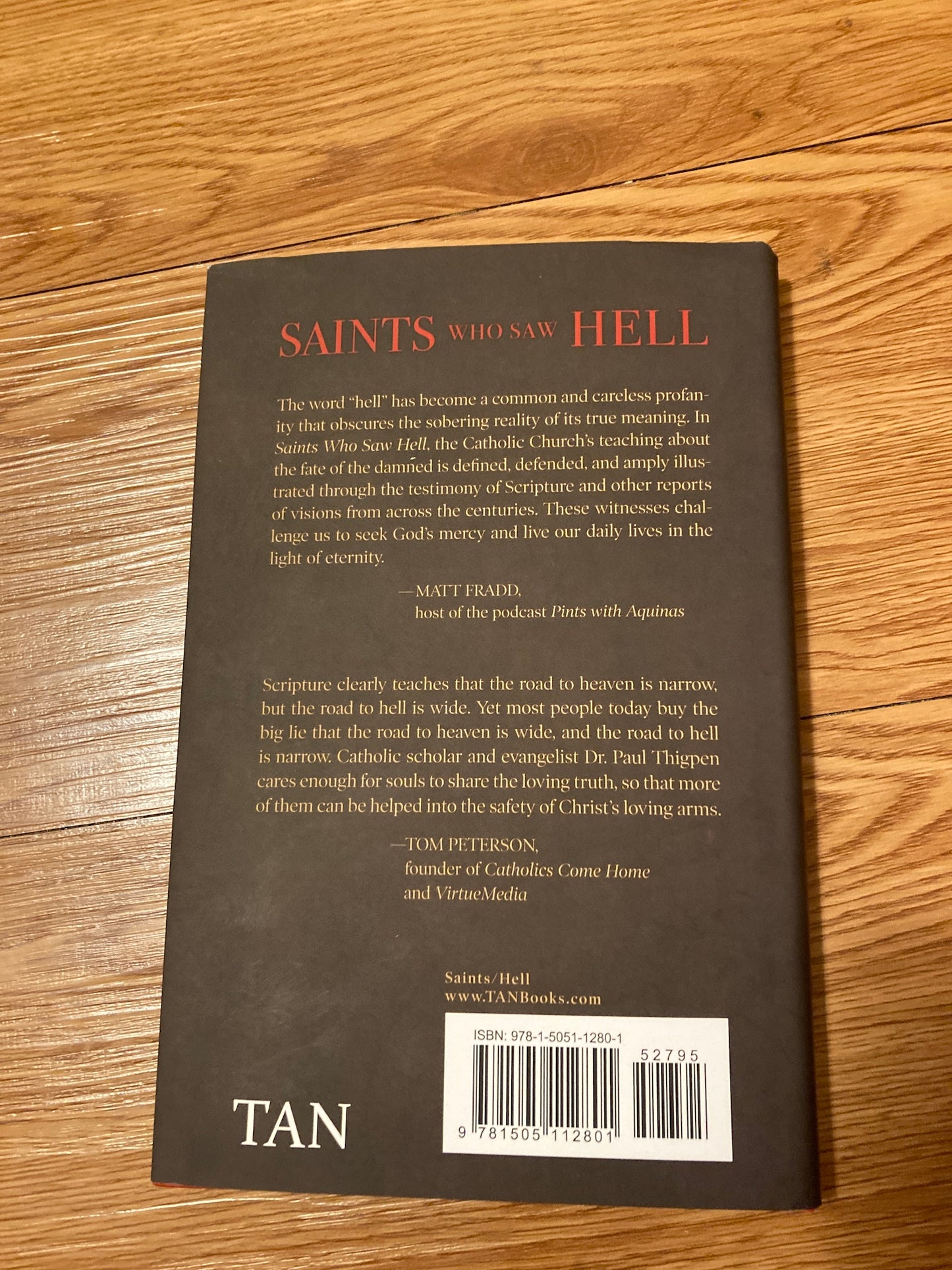 Saints Who Saw Hell: And Other Catholic Witnesses