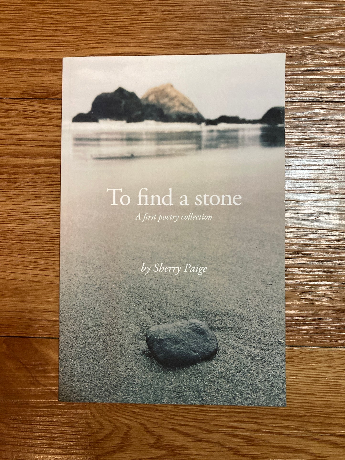 To Find a Stone, Sherry Paige
