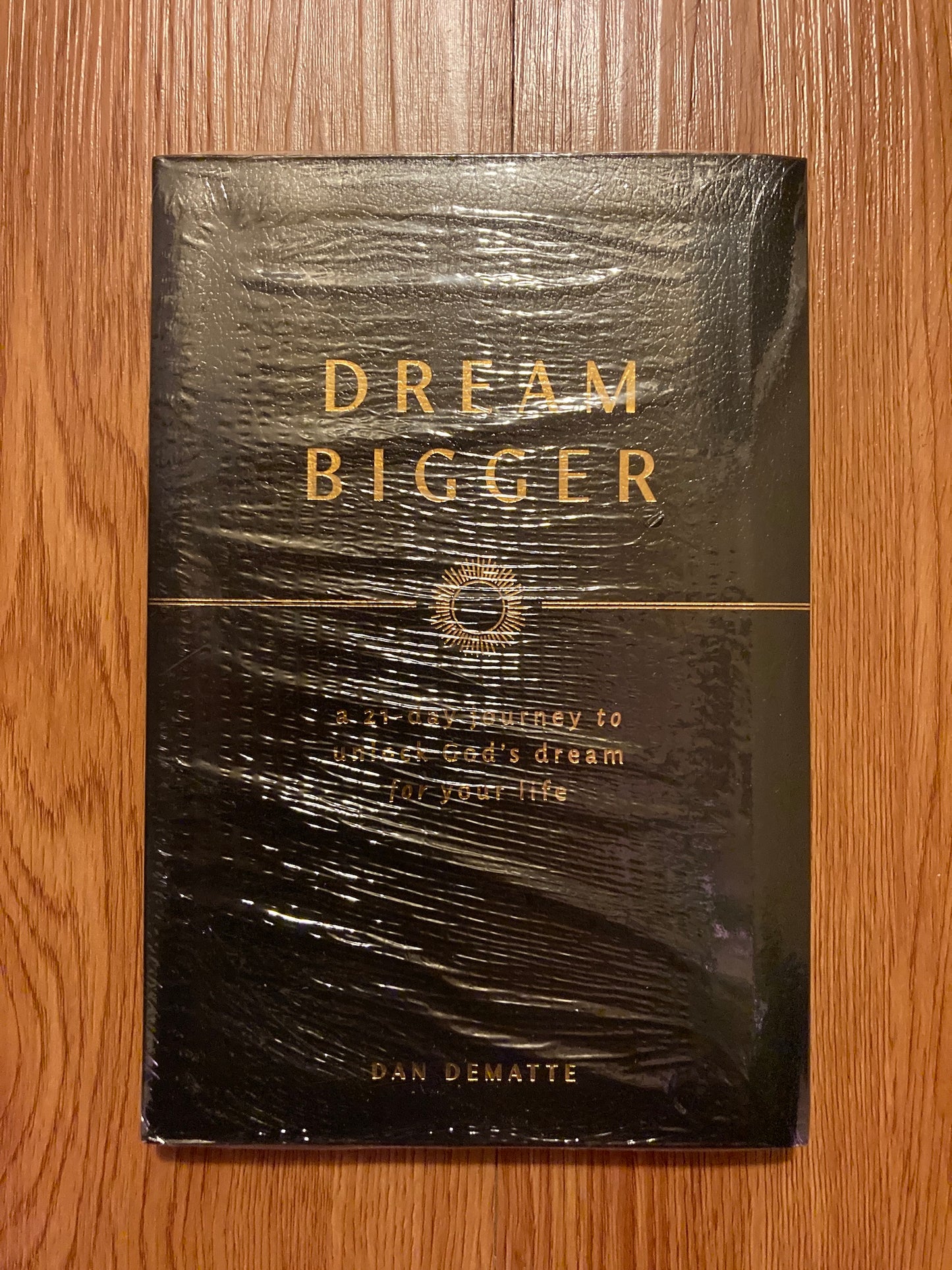 Dream Bigger, by Dan DeMatte