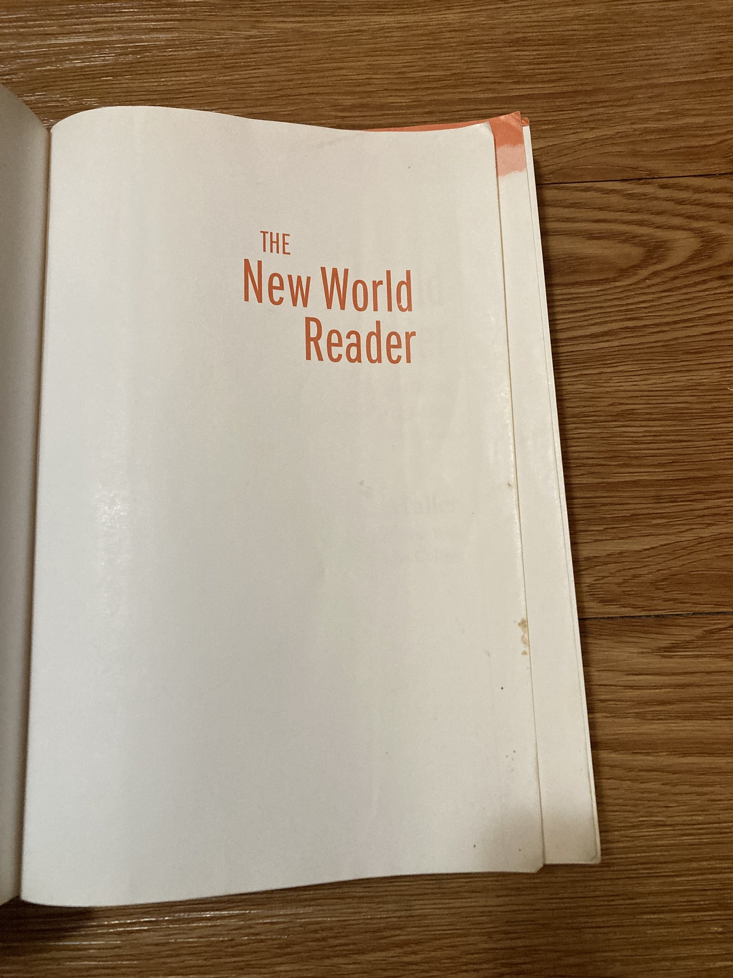 The New World Reader 5th Edition