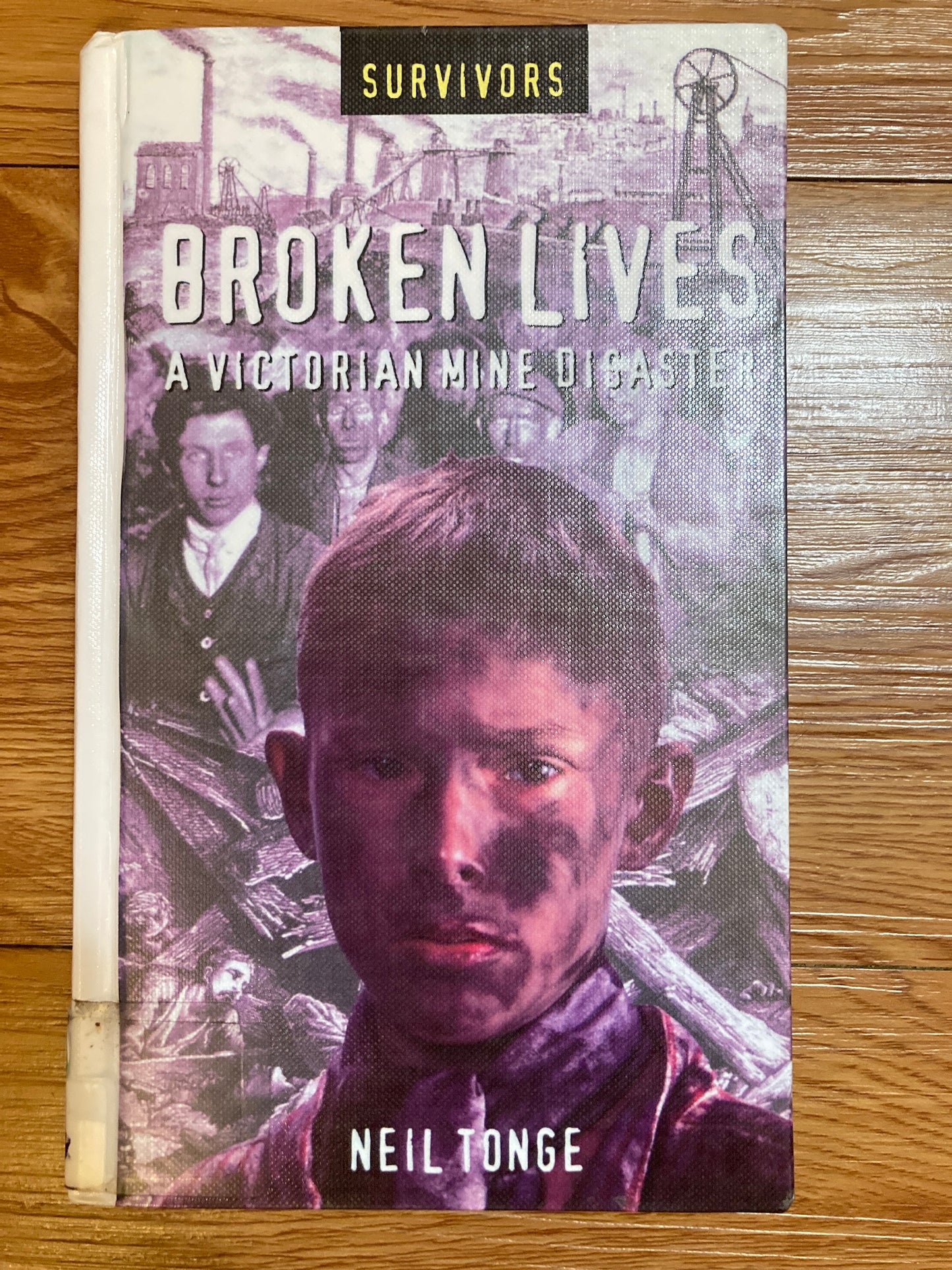 Broken Lives: A Victorian Mine Disaster (Survivors Series)