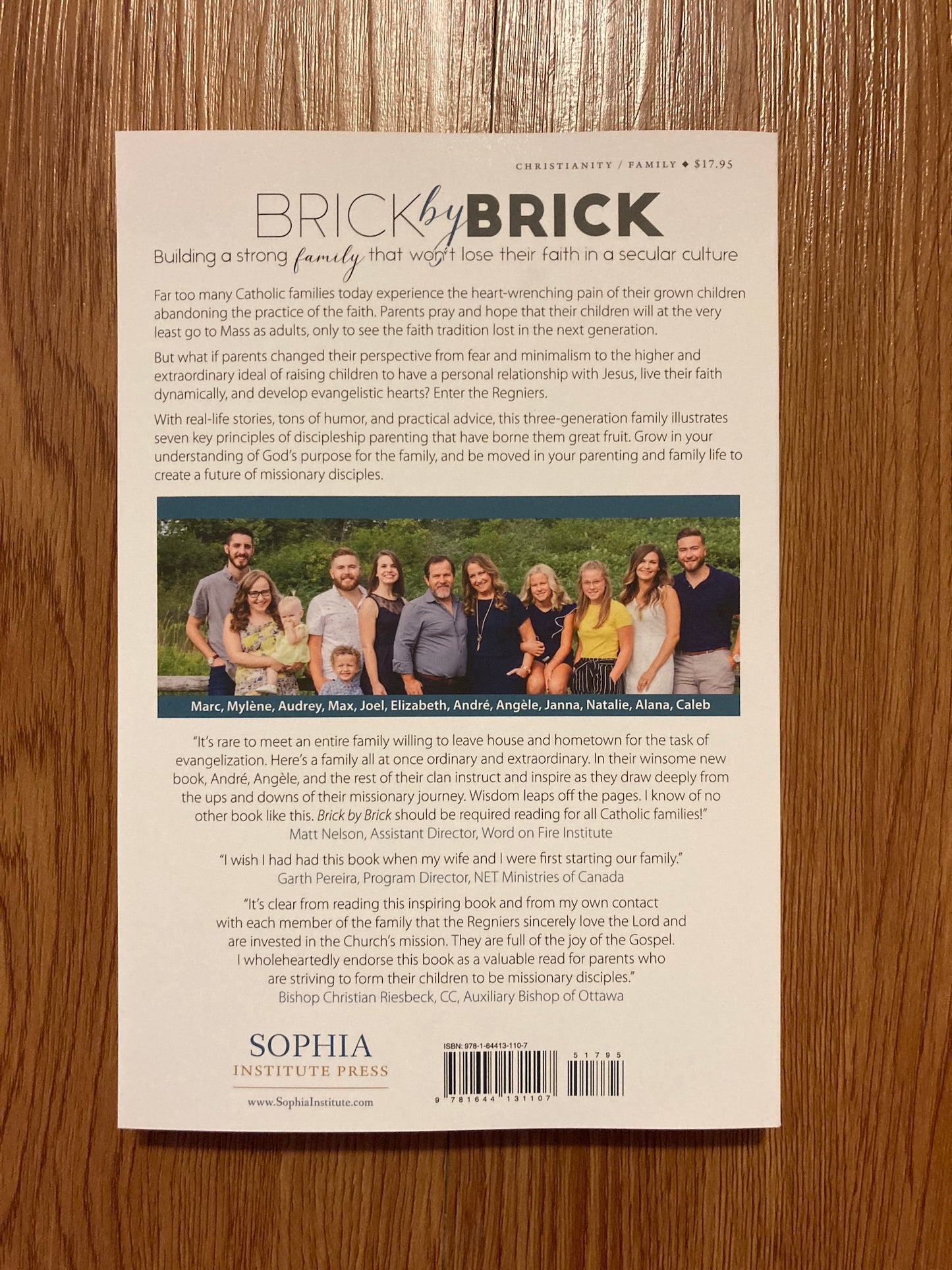Brick by Brick, by The Regnier Family