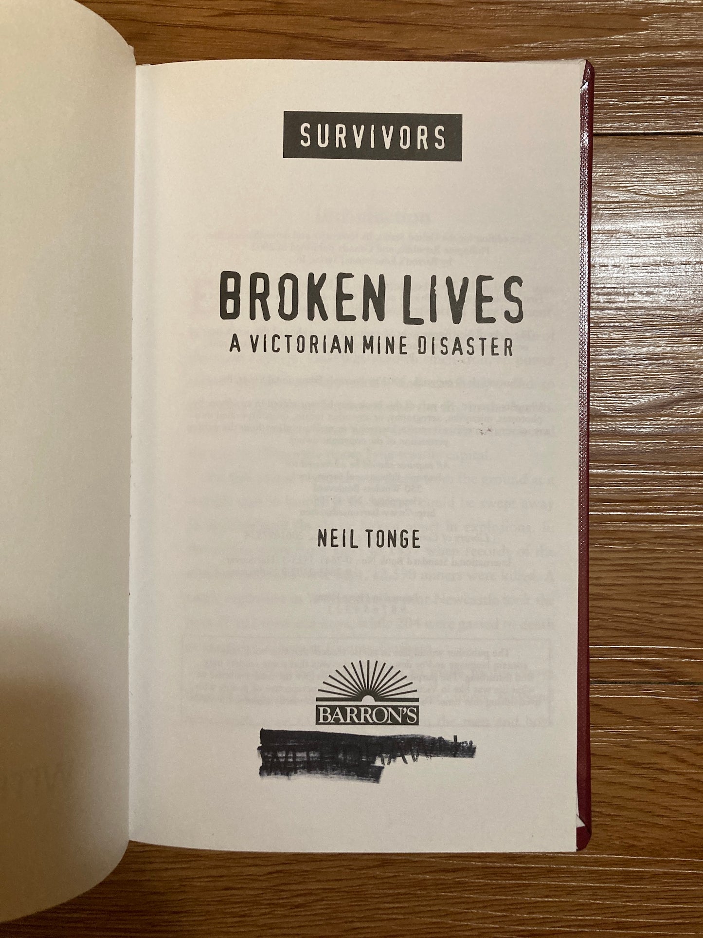 Broken Lives: A Victorian Mine Disaster (Survivors Series)