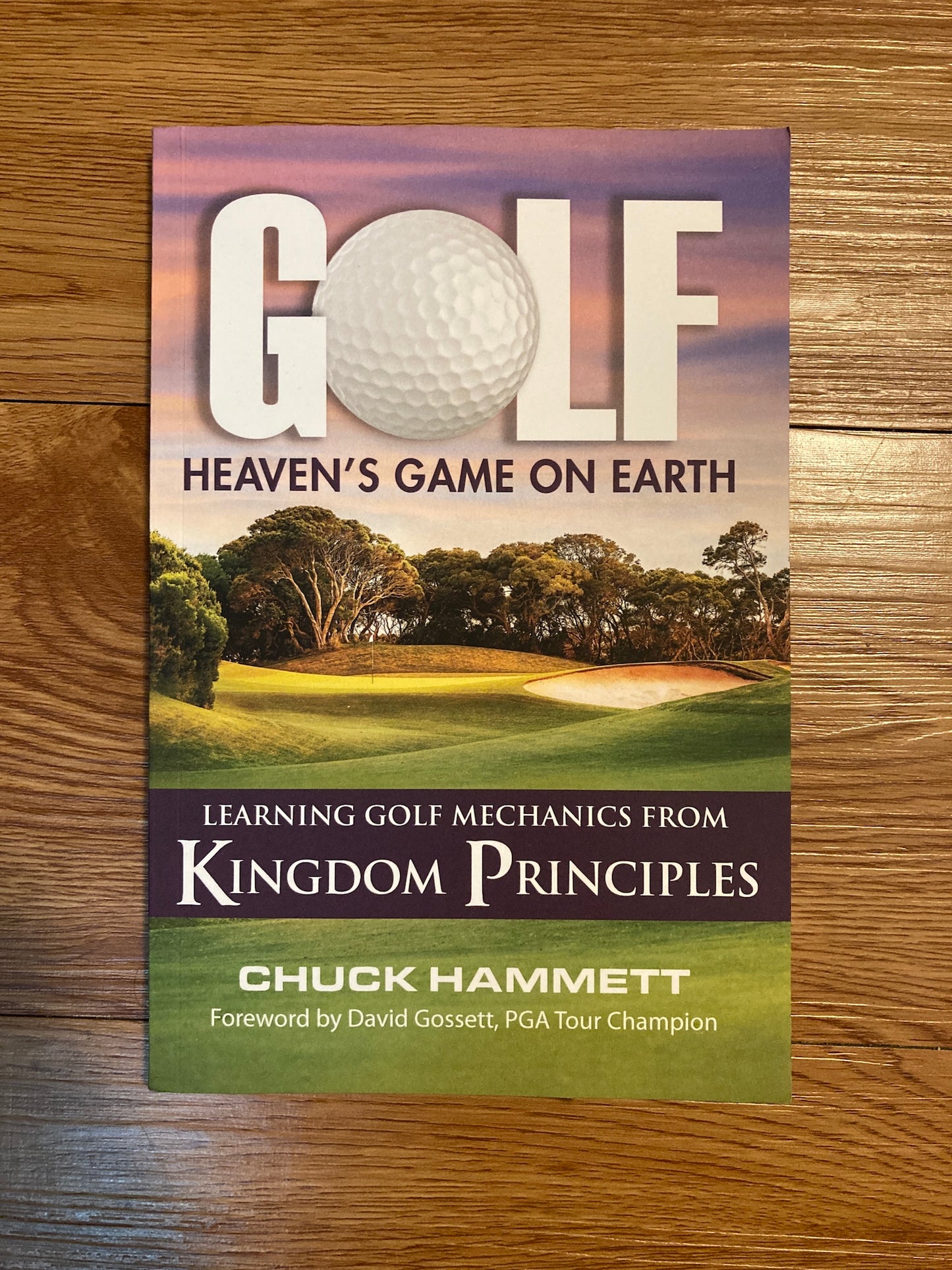 Golf, Heaven's Game on Earth: Learning Golf Mechanics