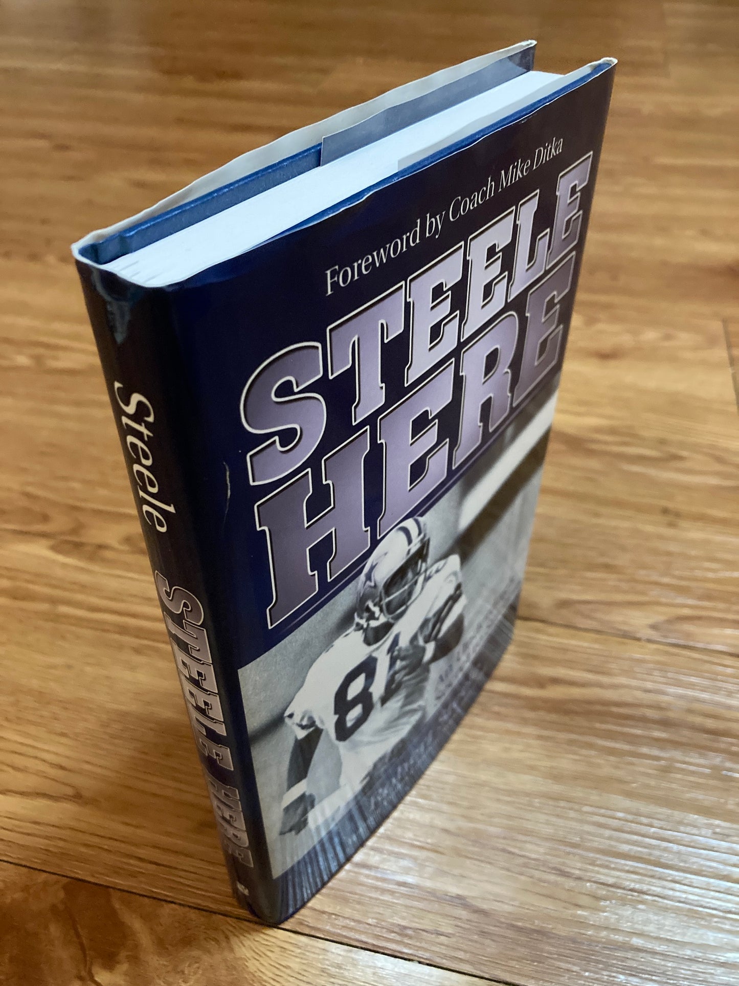 Steele Here: An Underdog's Secret to Success, Robert Steele